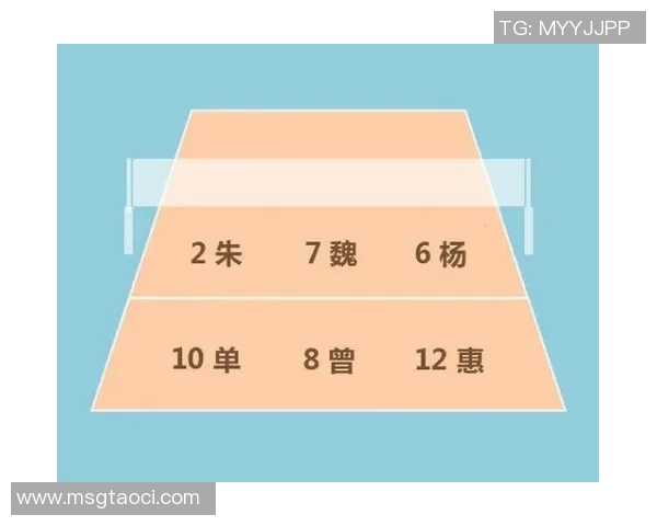 南京排球队进攻体系解析与战术创新探讨