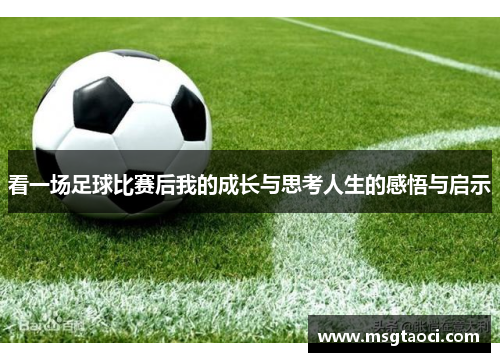 看一场足球比赛后我的成长与思考人生的感悟与启示